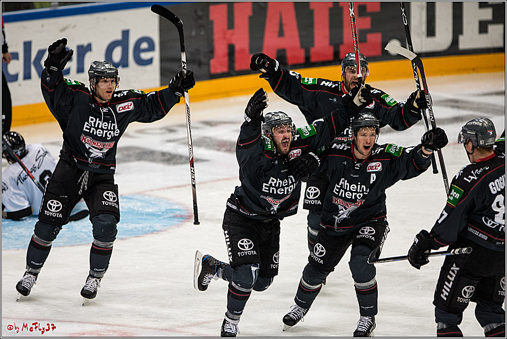 DEL, Koelner Haie - Nuernberg Ice Tiger, 24.01.2017